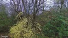 Lejlighed til leje, Brønshøj, &lt;span class=&quot;blurred street&quot; onclick=&quot;ProcessAdRequest(3076785)&quot;&gt;&lt;span class=&quot;hint&quot;&gt;Se vej-navn&lt;/span&gt;[xxxxxxxxxx]&lt;/span&gt;