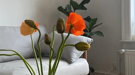 Værelser i Frederiksberg - billede 5