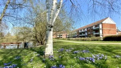 Lejlighed til leje i 5000 Odense C