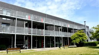 Lejlighed til leje i 5200 Odense V